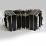 Bandoneon Peguri